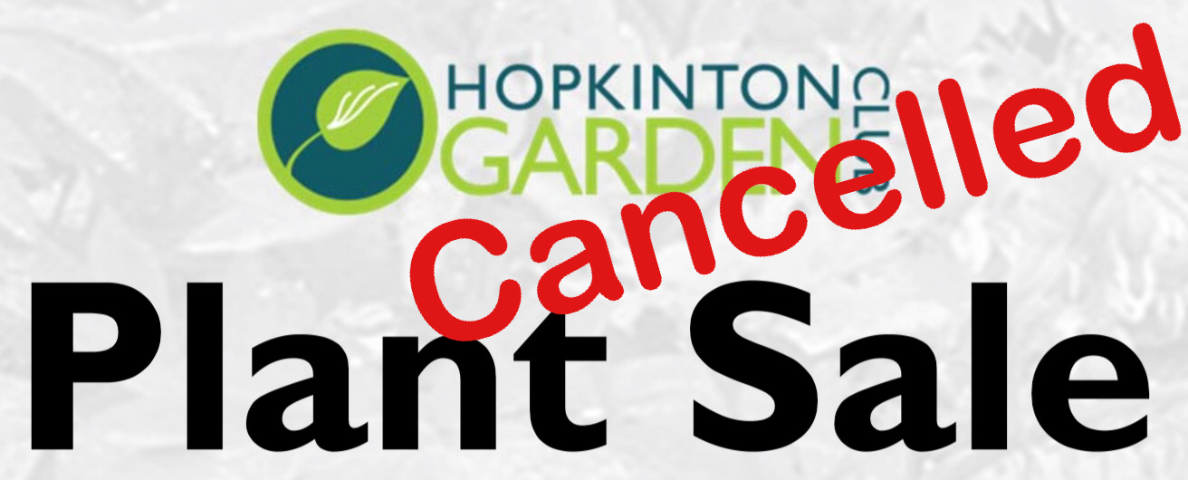 Hopkinton Garden Club cancels annual plant sale
