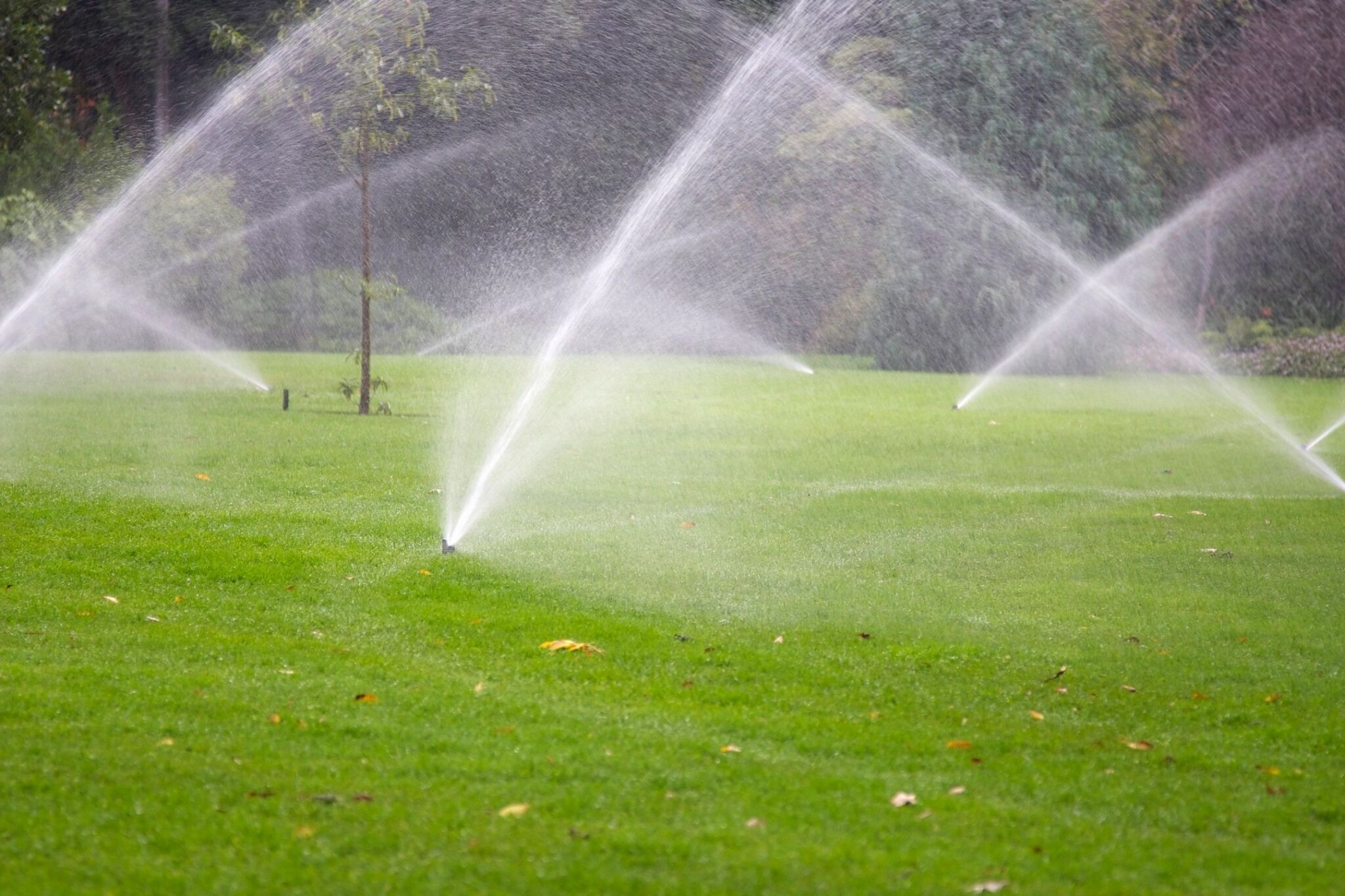 Hopkinton bans outdoor water use, with limited exceptions