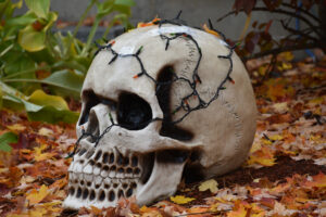Halloween display-skull