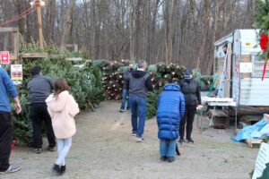 Scouts Christmas tree sale