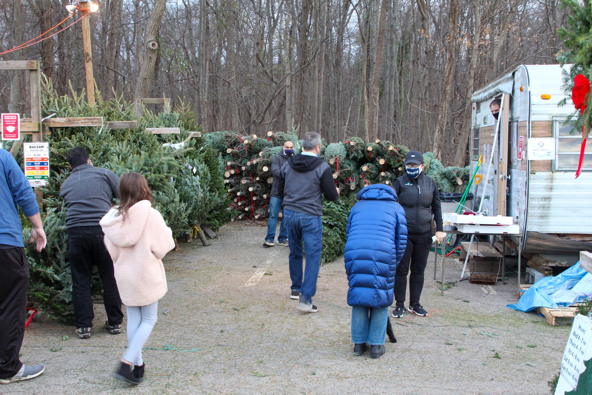 Photos Boy Scouts Christmas tree sale Hopkinton Independent