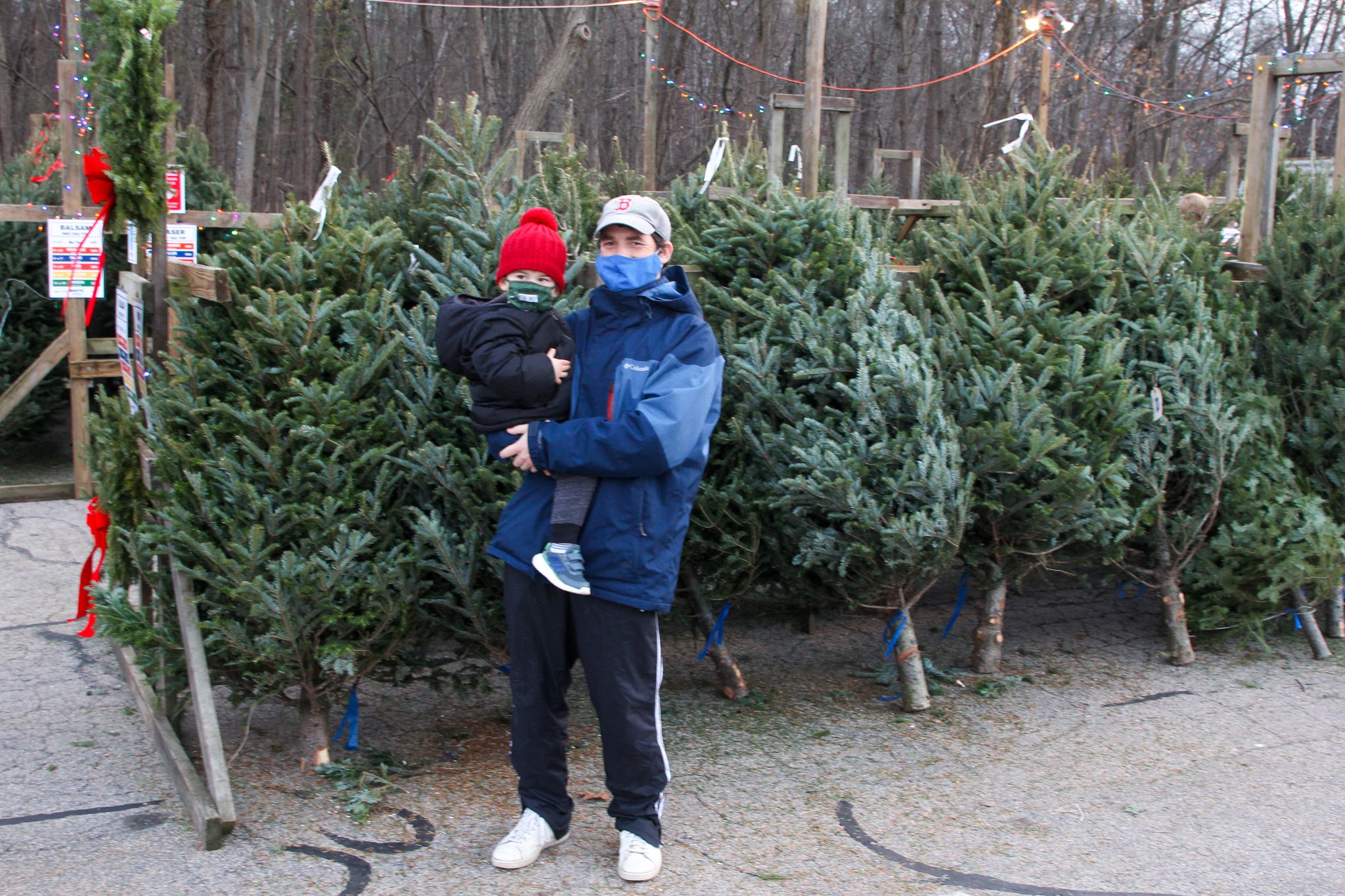 Photos: Boy Scouts Christmas tree sale