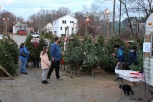 Scouts Christmas tree sale