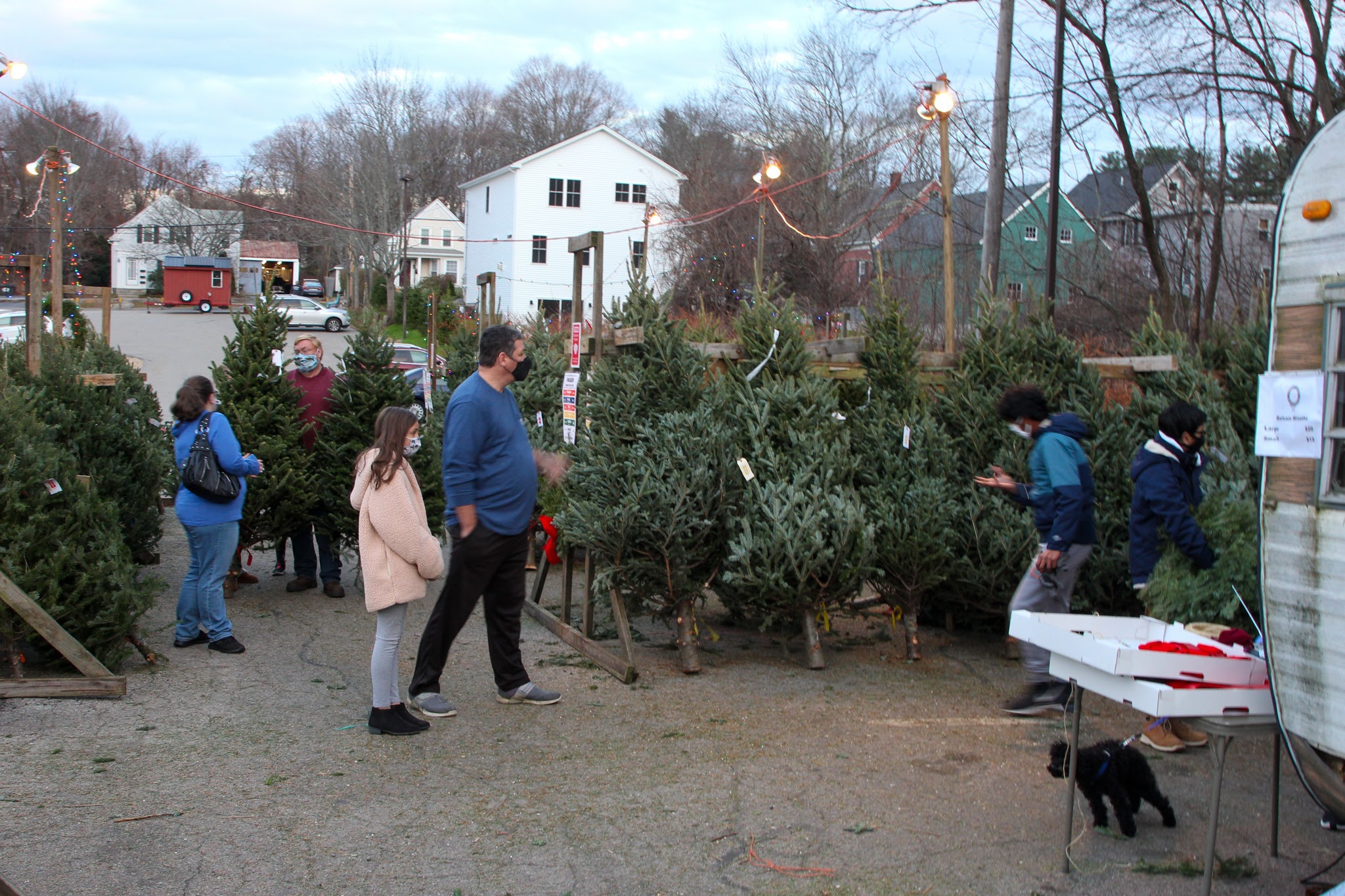 Photos: Boy Scouts Christmas tree sale