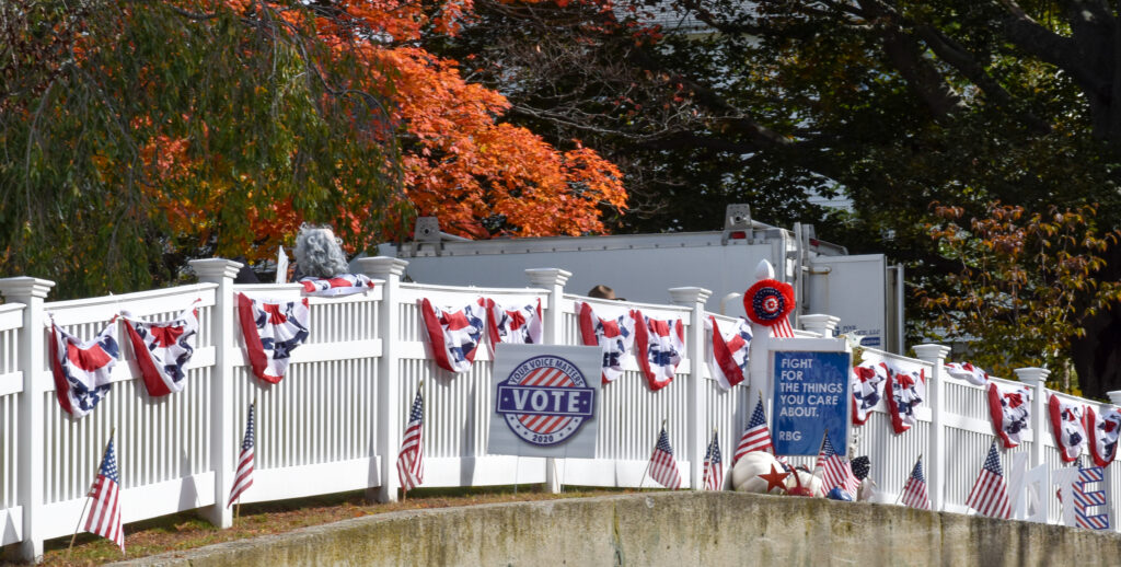 Vote sign