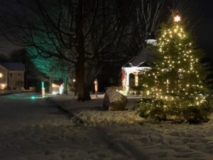 Town Common holiday displays