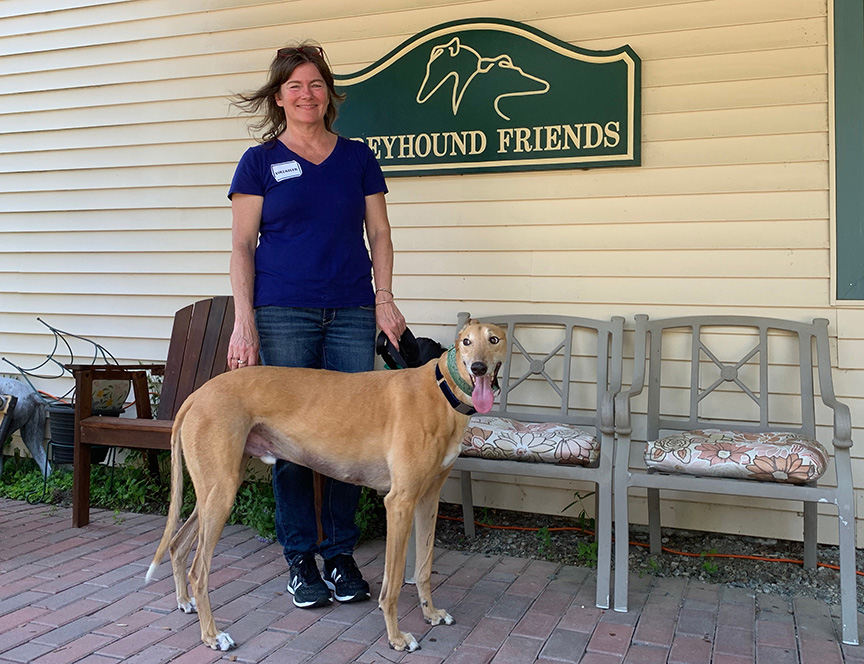 Greyhound Friends looks to bounce back