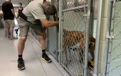 Greyhound Friends open house