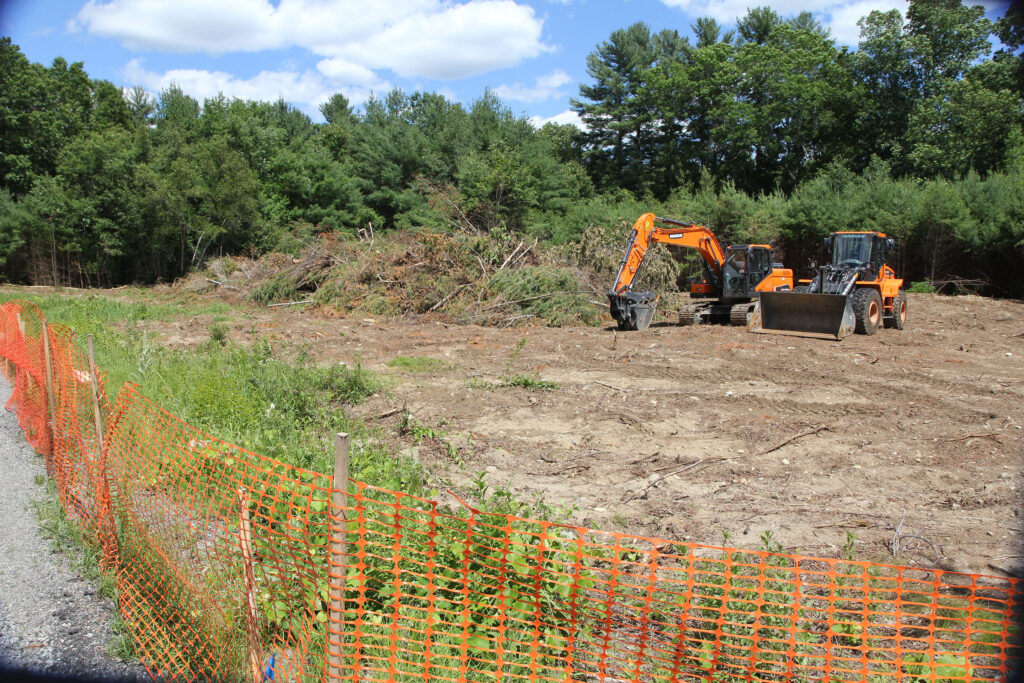 Dog Park clearing