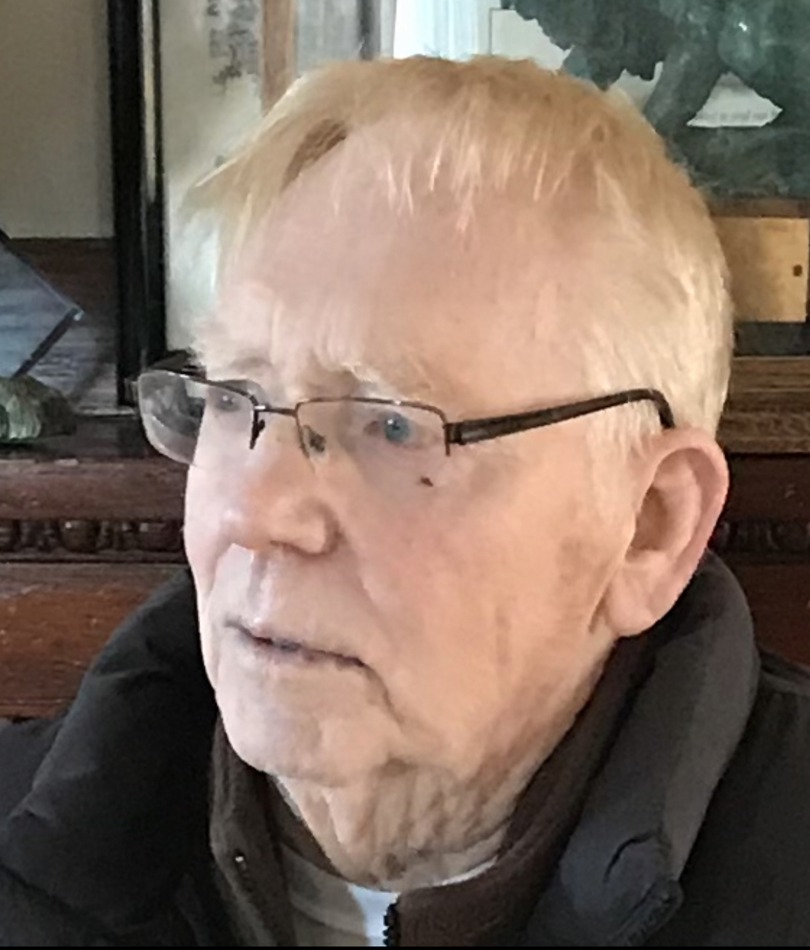 Harold Schmidt, 84