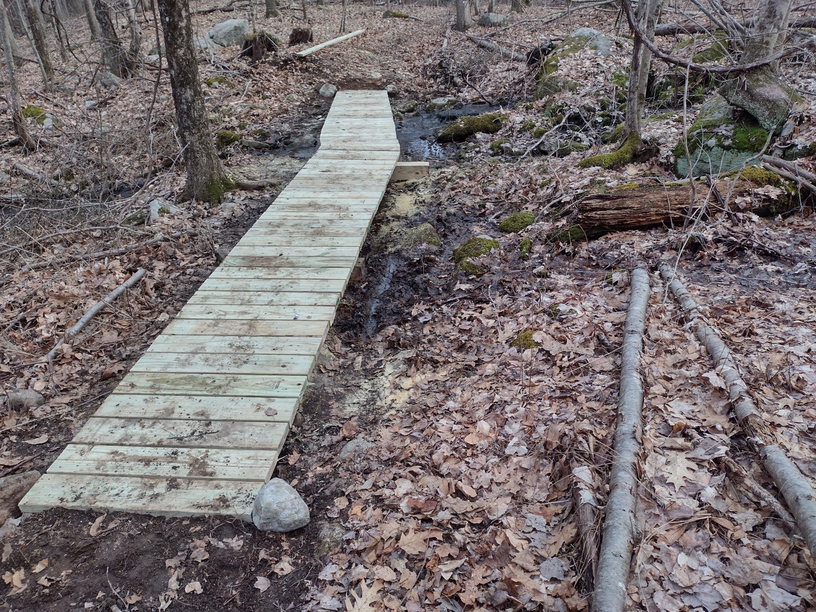 TCMC installs bridges on trail behind Center School