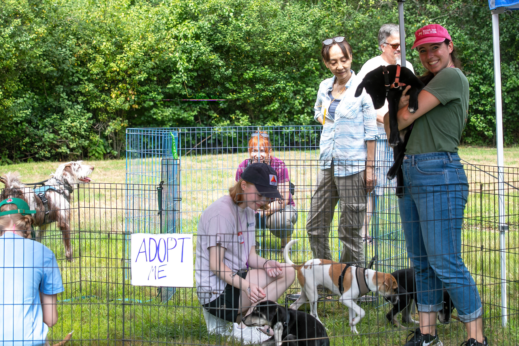 Photos: Greyhound Friends celebrates International Dog Day