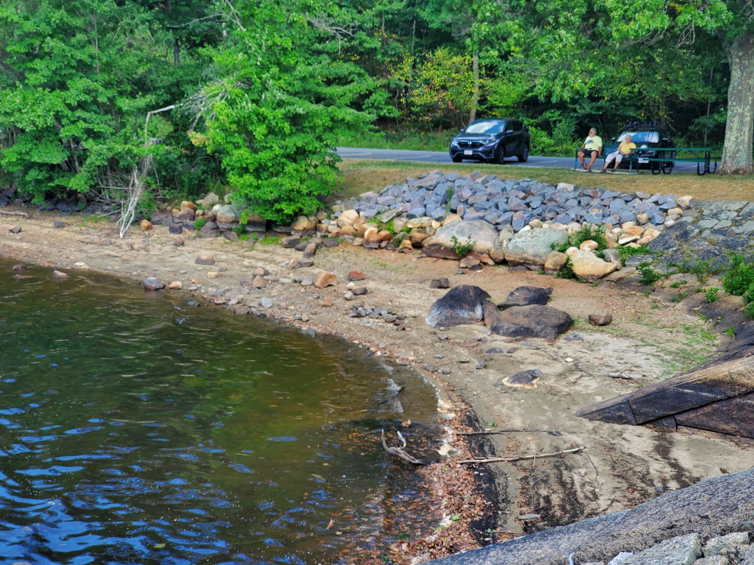 Health director: ‘No appreciable change’ in water quality at closed Hopkinton State Park beaches