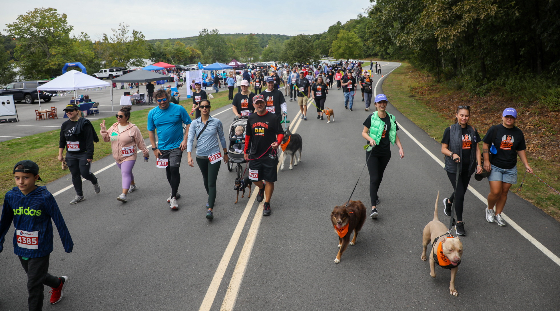 Photos: Paws & Claws 5K at Hopkinton State Park