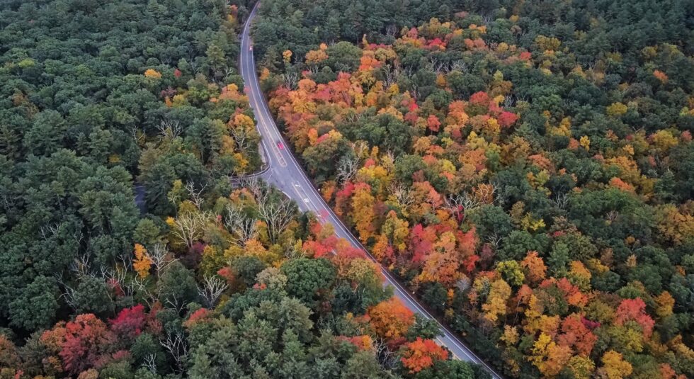 Photos: Fall foliage - Hopkinton Independent