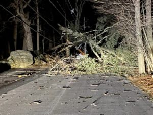 High winds lead to fallen tree, power outage in School Street area