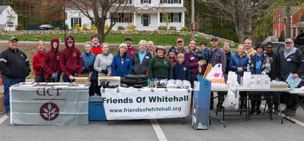 Whitehall Cleanup