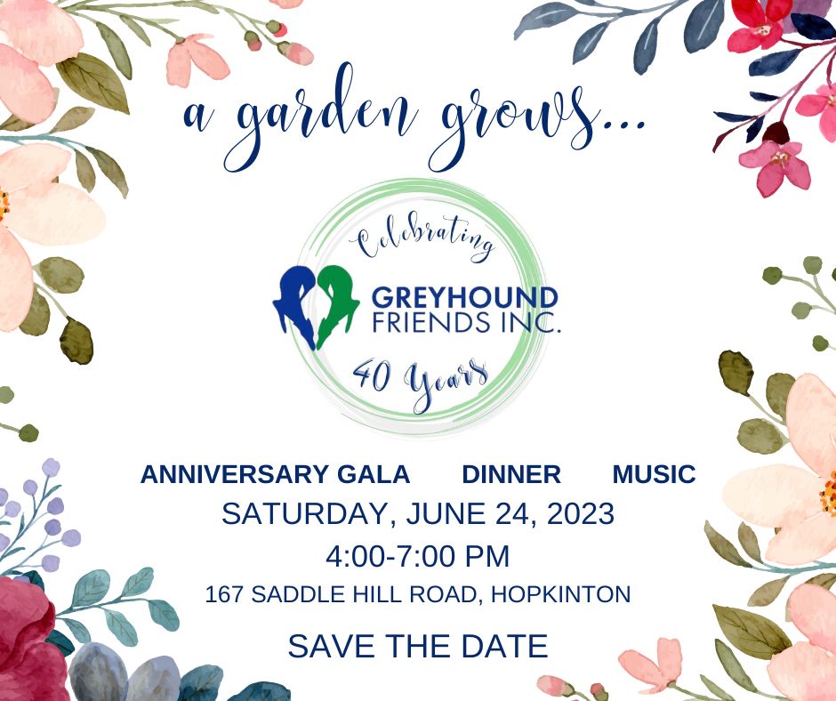 Greyhound Friends 40th Anniversary Gala June 24
