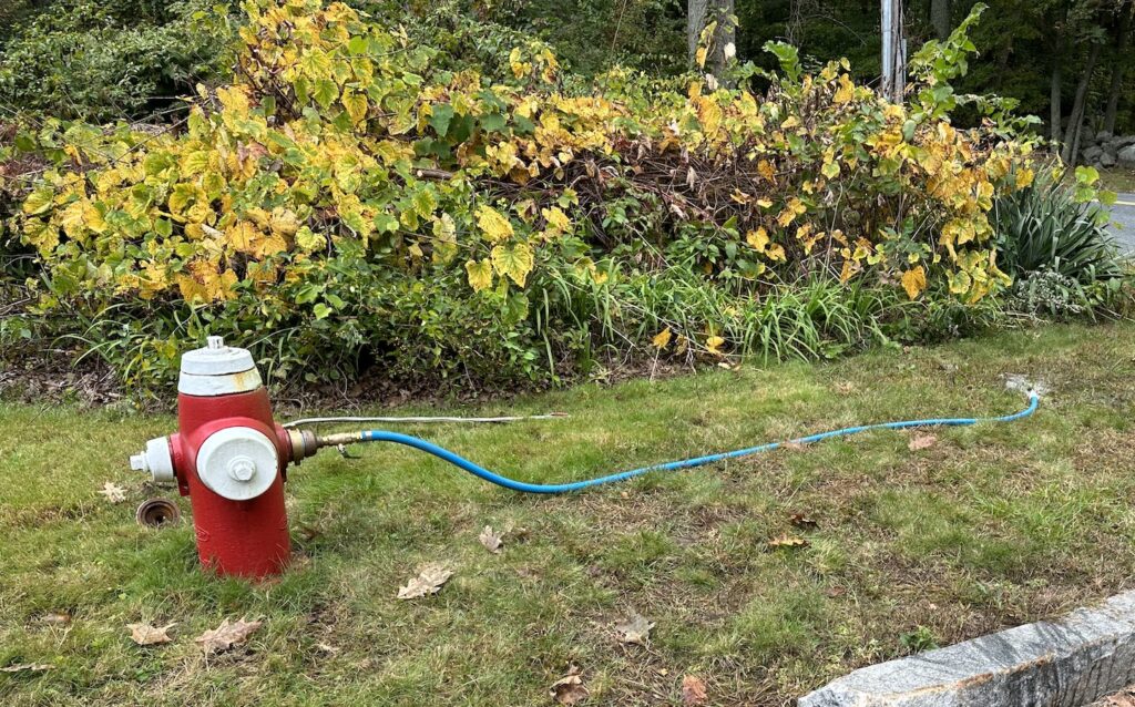 Fire hydrant draining