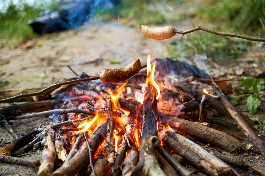 Children frying sausages over a fire in woods.