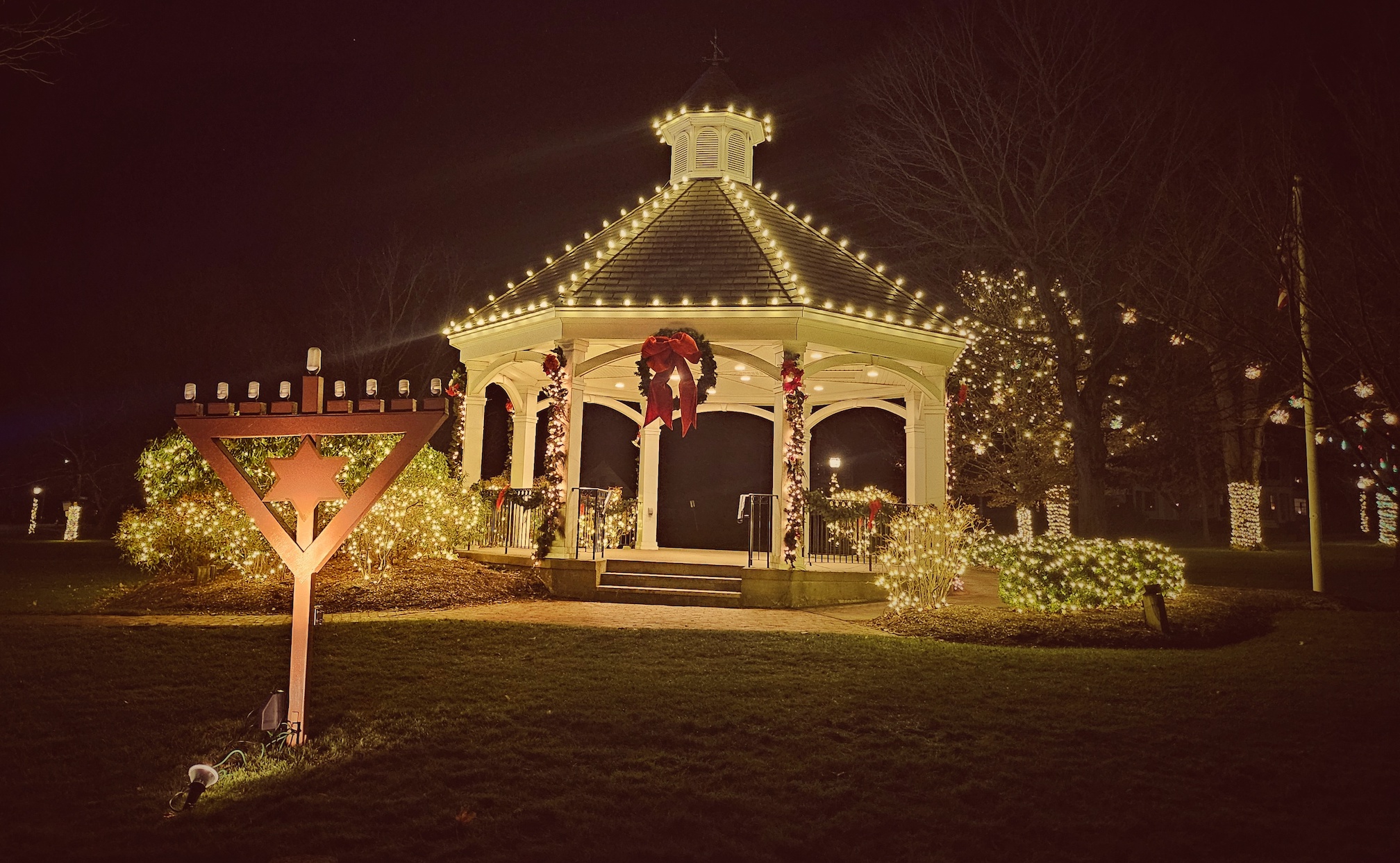 Parks & Rec accepts holiday lights donation, pushes forward on Pyne Field redesign