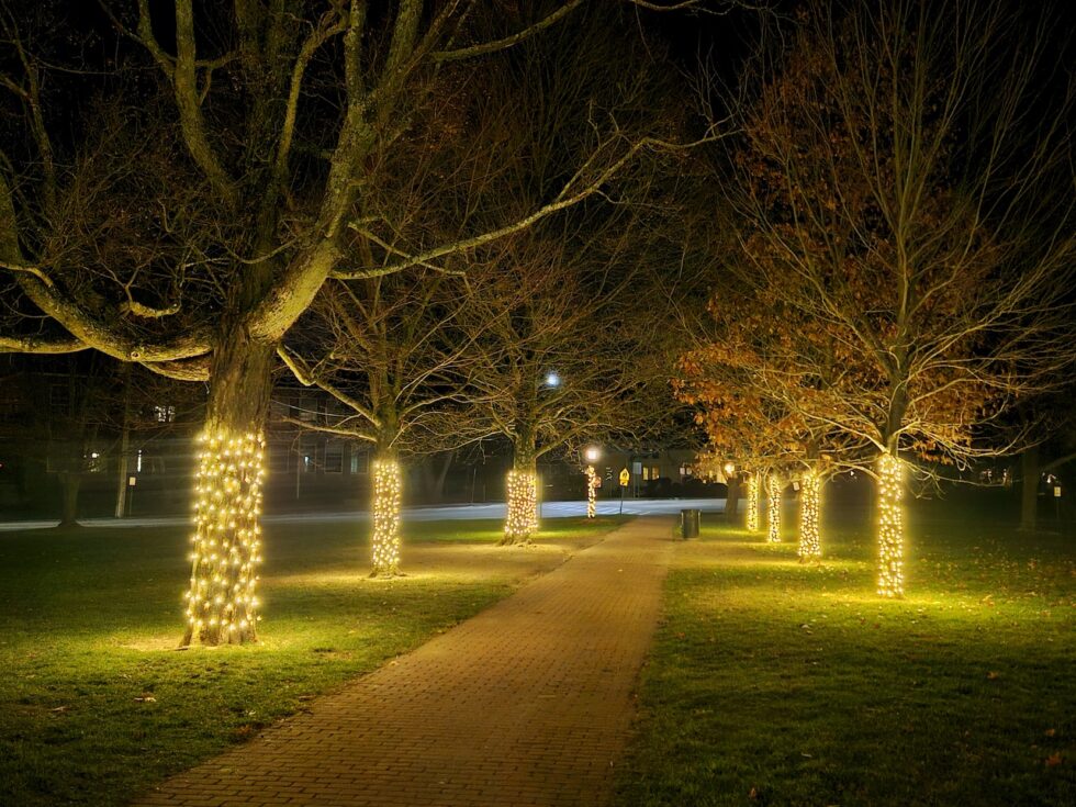 Photos Town Common holiday lights Hopkinton Independent