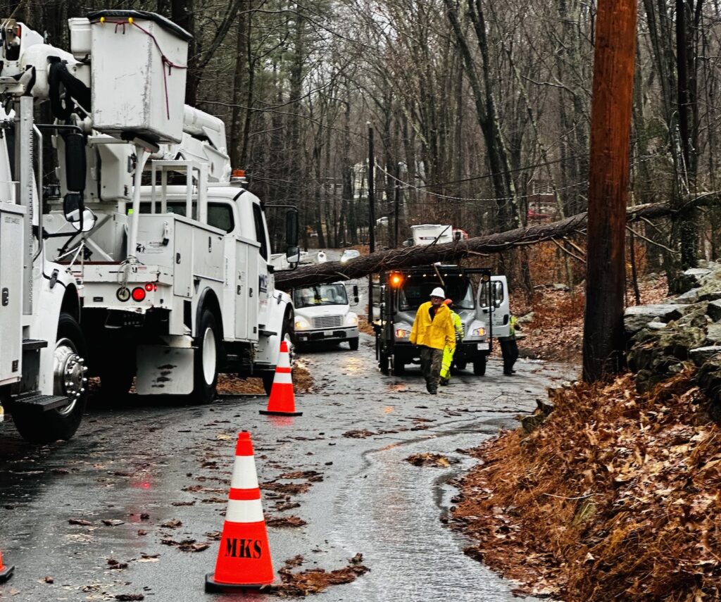 Winter Street tree down