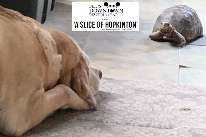 Slice of Hopkinton photo contest winner, May 29 edition