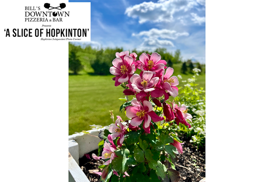 Slice of Hopkinton photo contest winner, June 12 edition