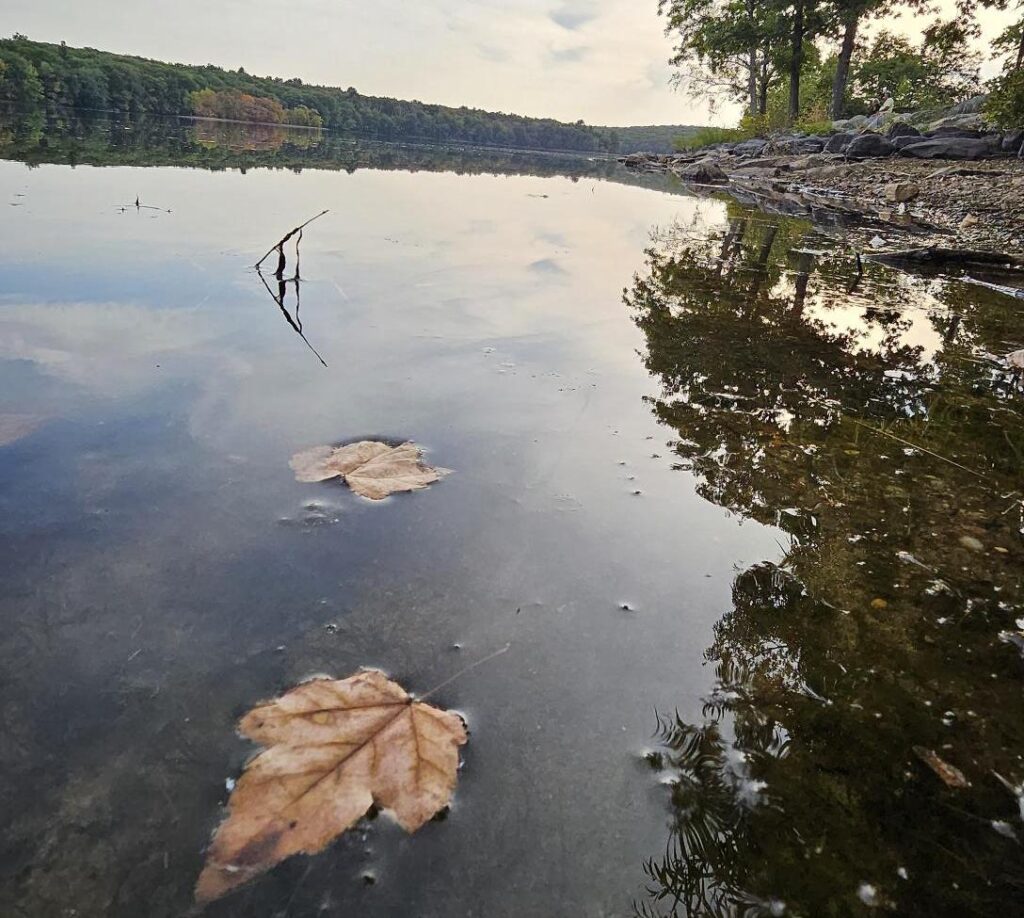 State Park fall