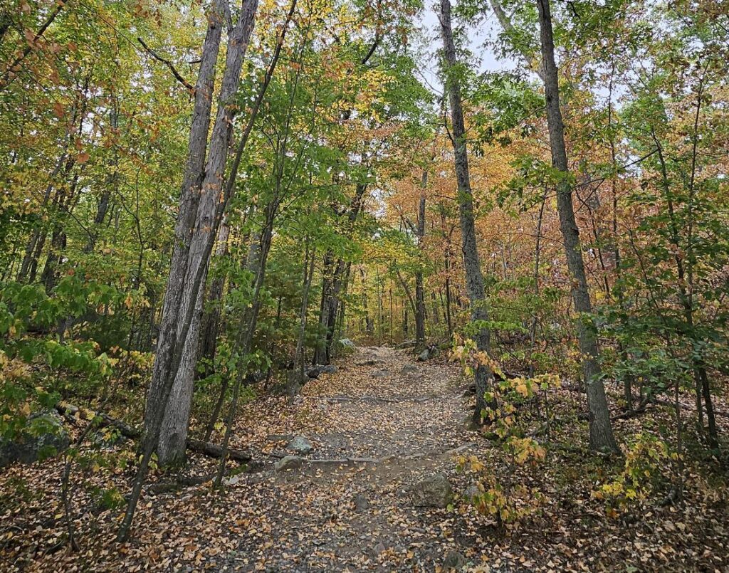 State Park fall