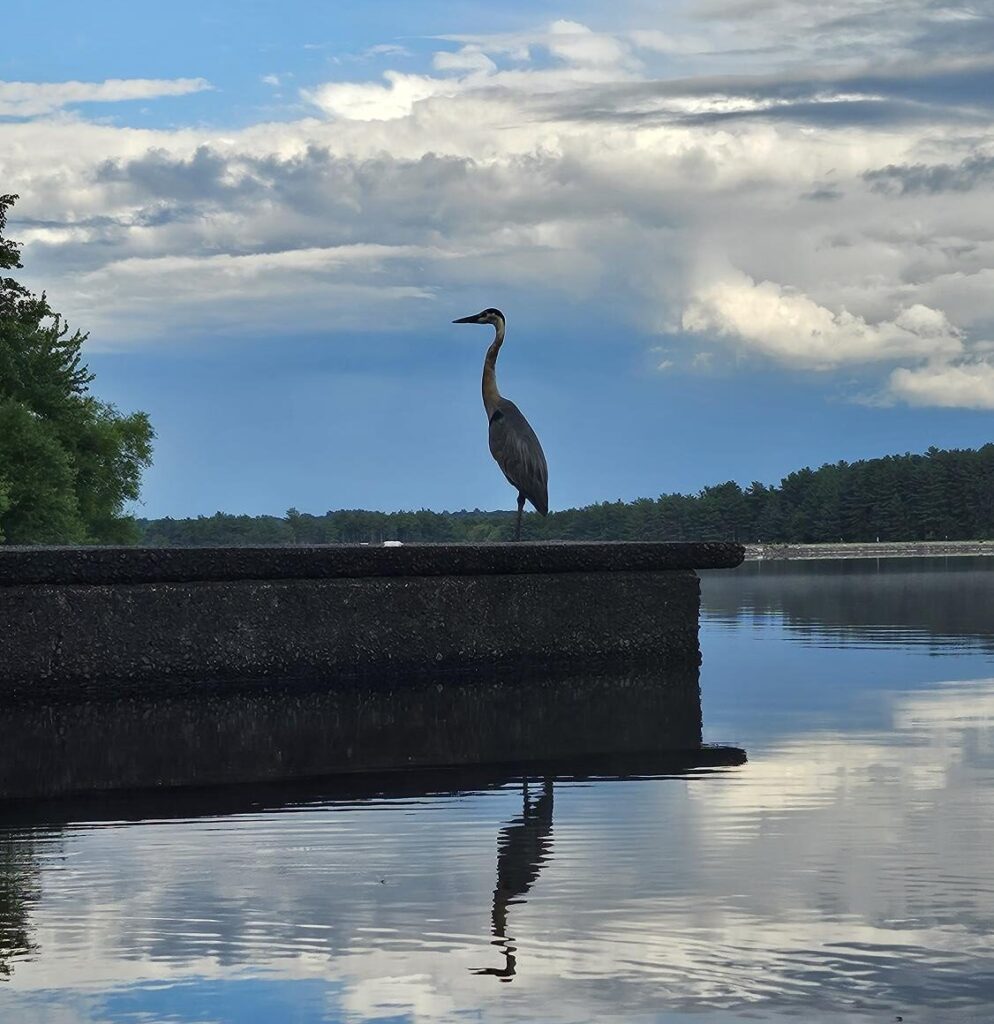 Amit Hopkinton State Park