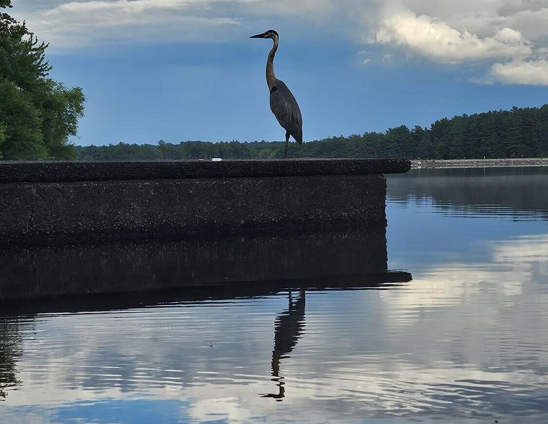 Hopkinton Today: Friday, Sept. 6