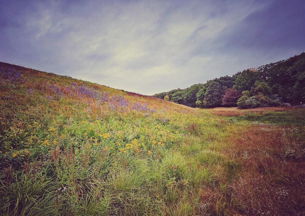 Hopkinton State Park