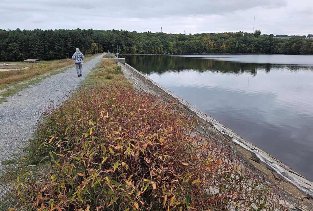 Hopkinton State Park