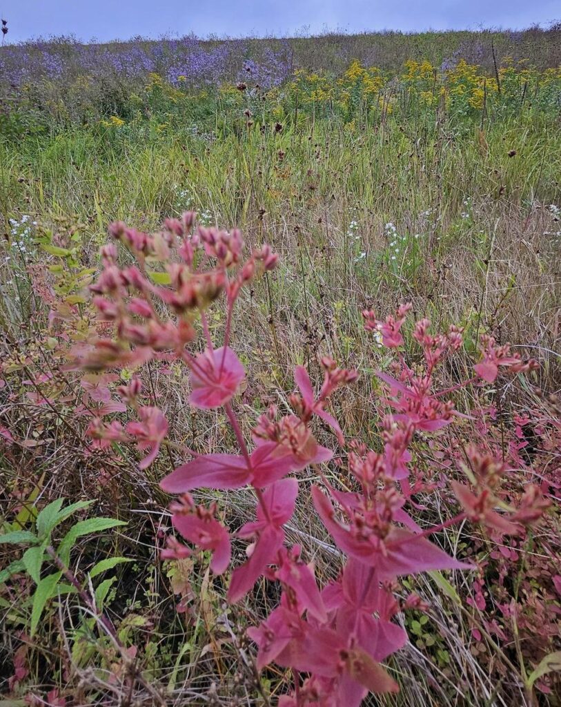 Hopkinton State Park