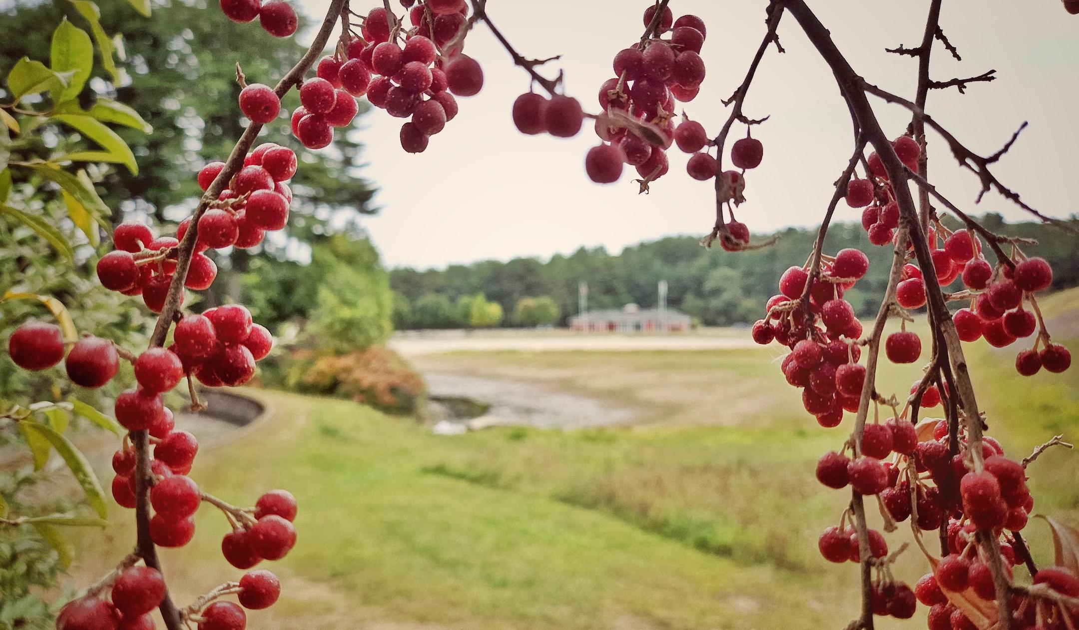 Photos: Autumn at Hopkinton Reservoir