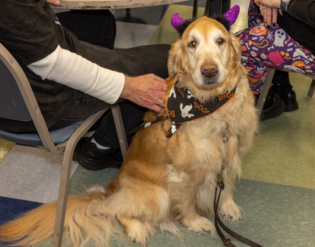 Senior Center Halloween party