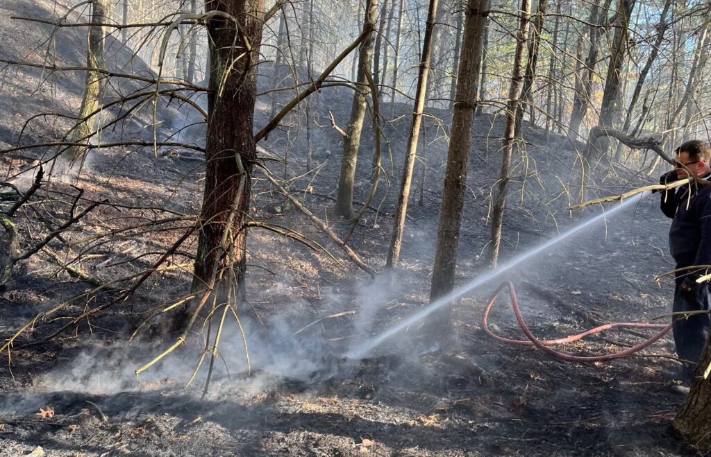 Fire department battles brush fire