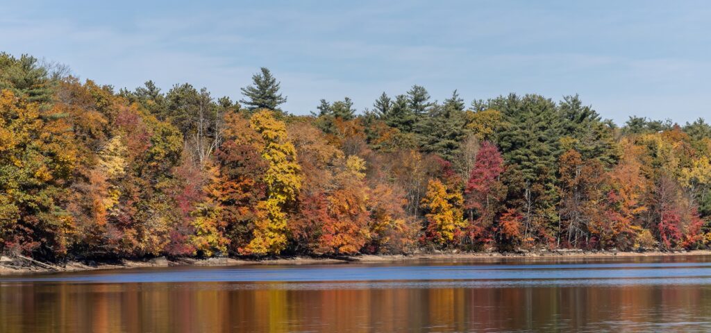 Hopkinton foliage