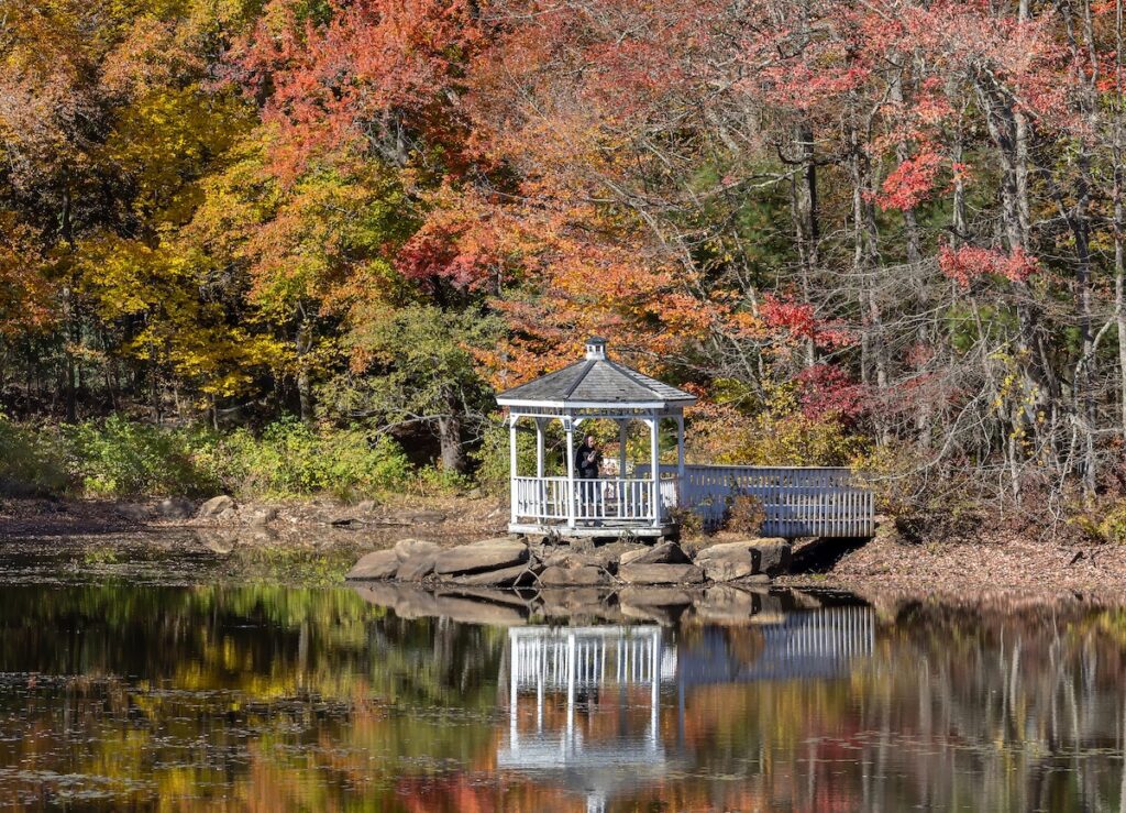 Hopkinton foliage