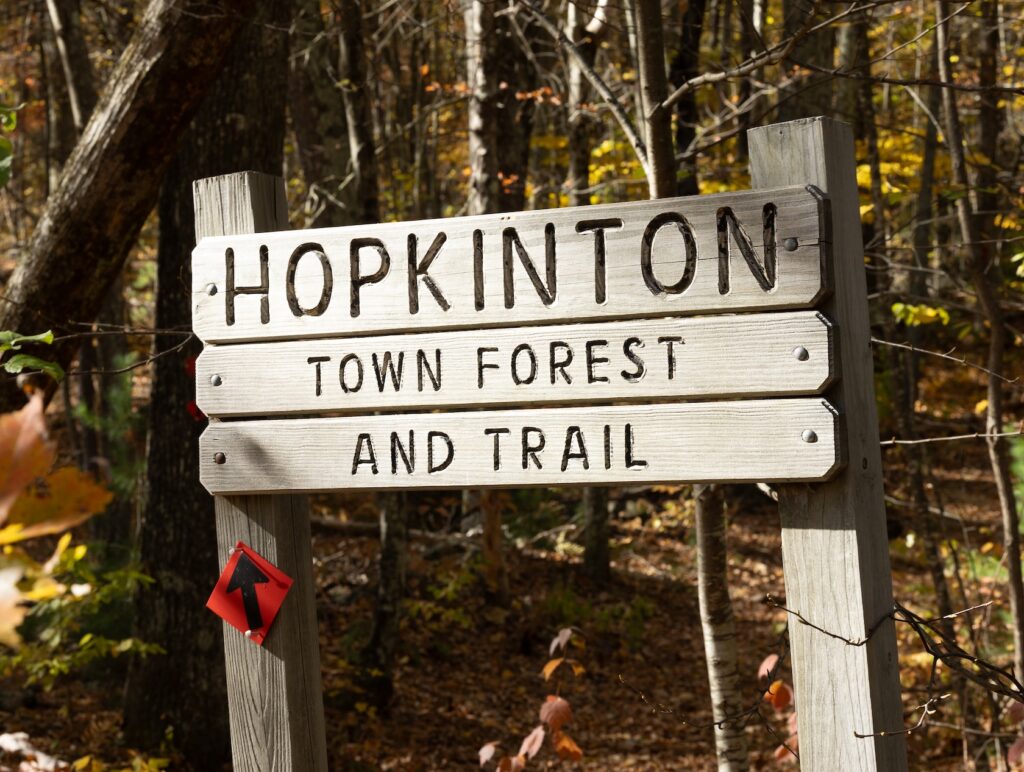 Hopkinton foliage