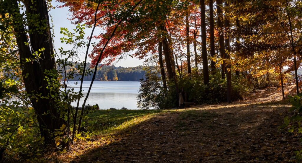 Hopkinton foliage