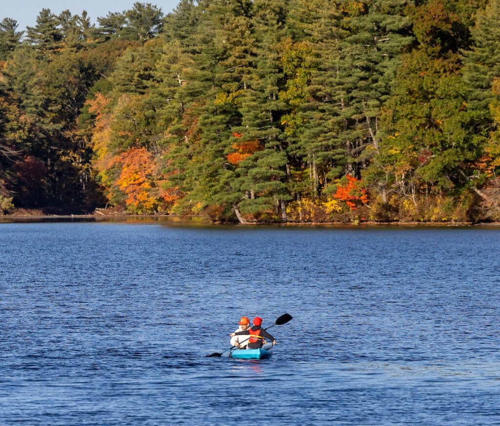 Hopkinton foliage