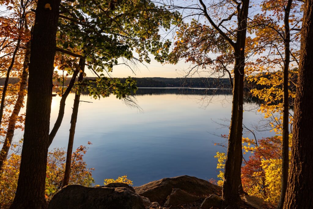 Hopkinton foliage