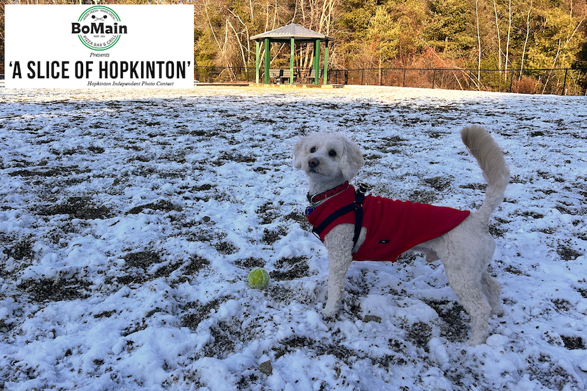 BoMain Slice of Hopkinton photo contest winner, Jan. 15 edition