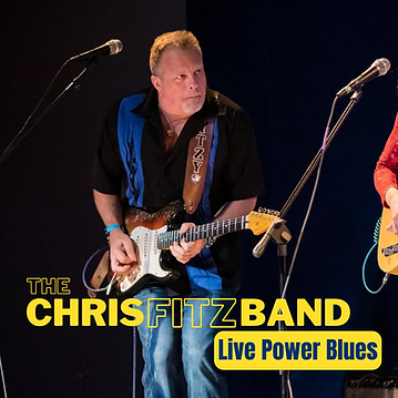 The Chris Fitz Band