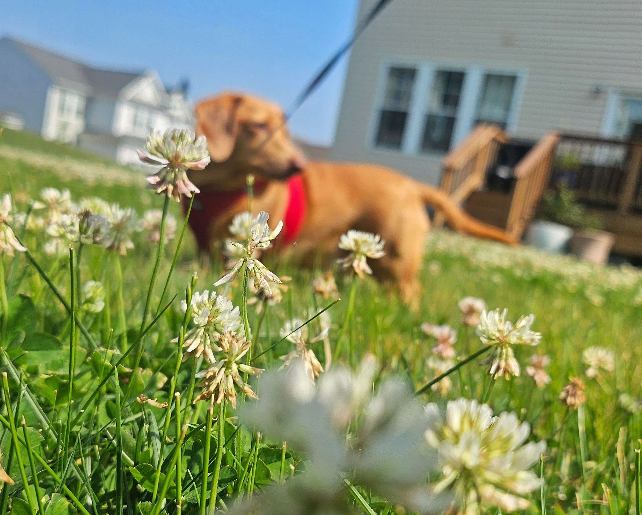 Hopkinton Today for Monday, July 14: ‘Good Trouble’ protest on Town Common set for Thursday