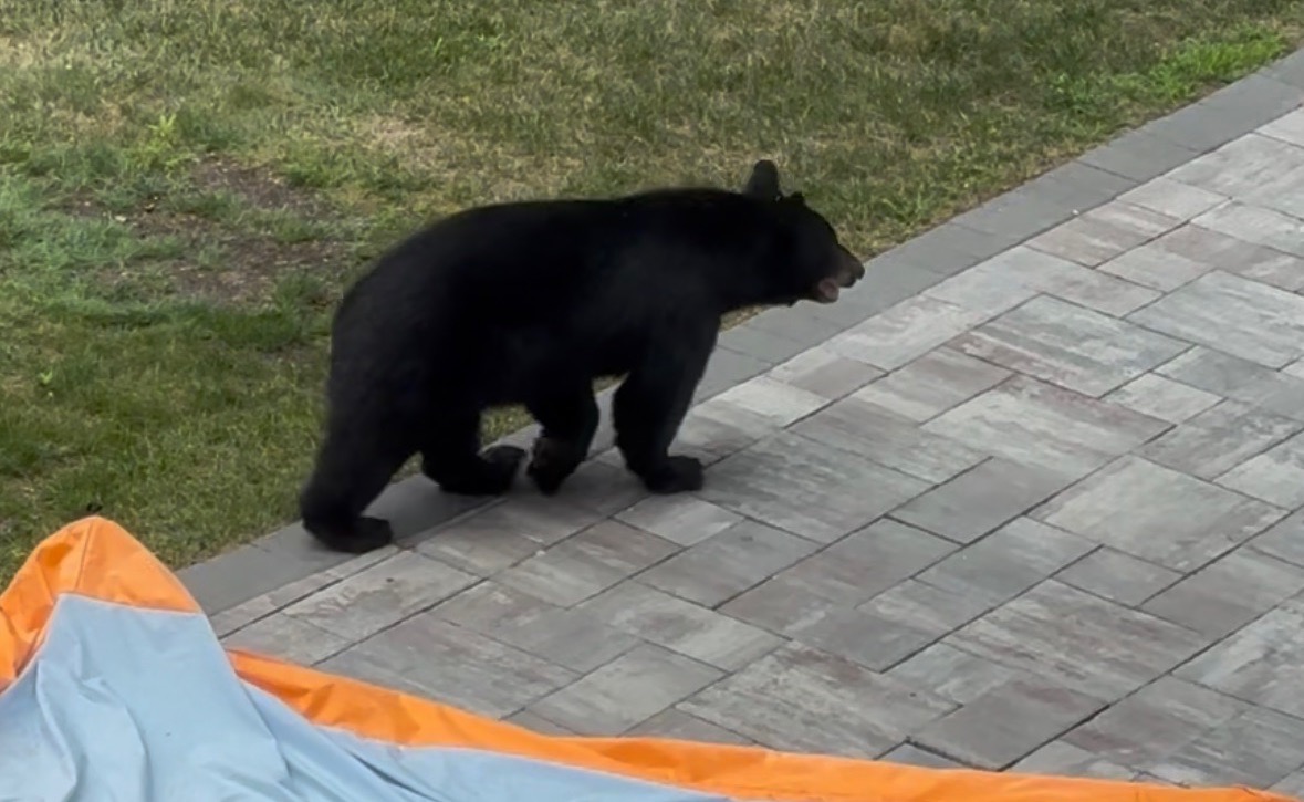 Hopkinton Today for Wednesday, July 16: The Sanctuary at Woodville to hold community BBQ