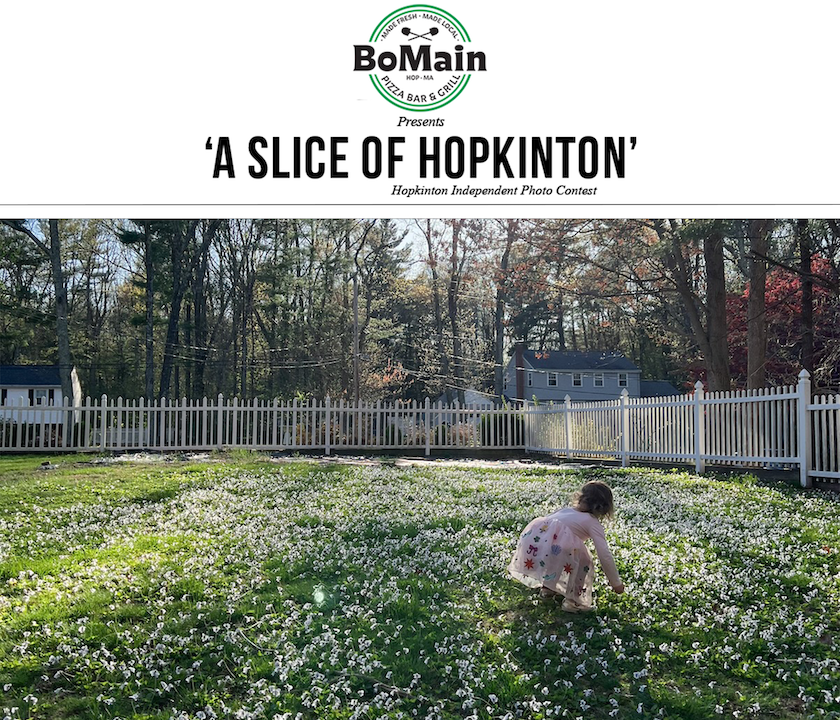 Photo contest winner